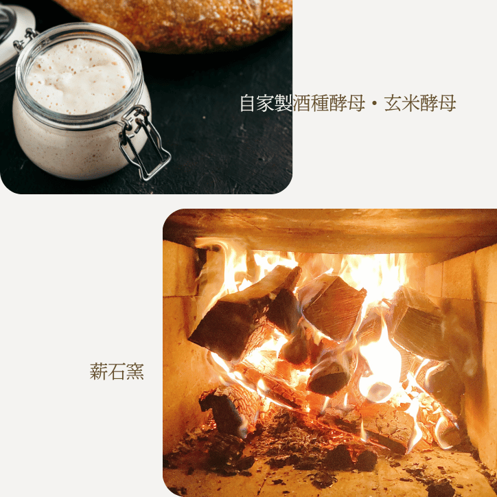 レザンノア