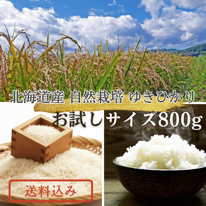自然栽培ゆきひかり お試しサイズ800g