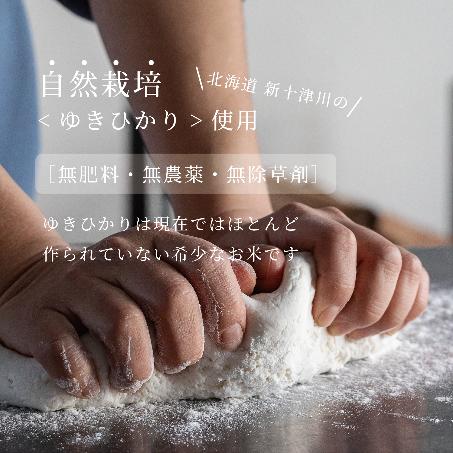 自家製カレーパン(2個セット）