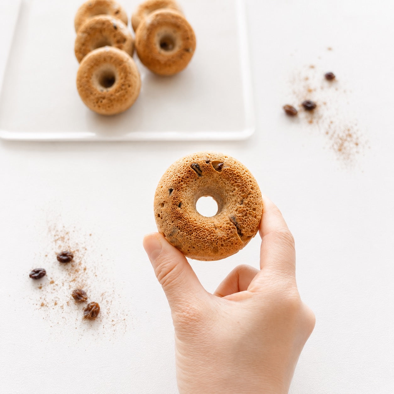 シナモンレーズン焼きドーナツ（OIL,SUGAR FREE）